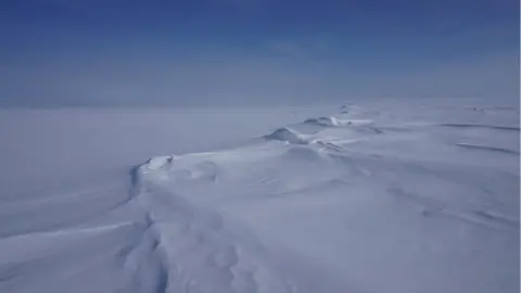 Luke Robertson  Antarctica