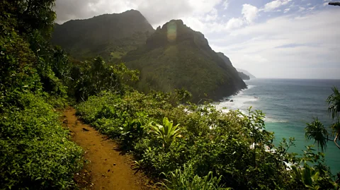 Cavan Images/Getty Images Since 2019, only 900 visitors per day can hike the famous Kalalau Trail along Kauai's Na Pali Coast (Credit: Cavan Images/Getty Images)
