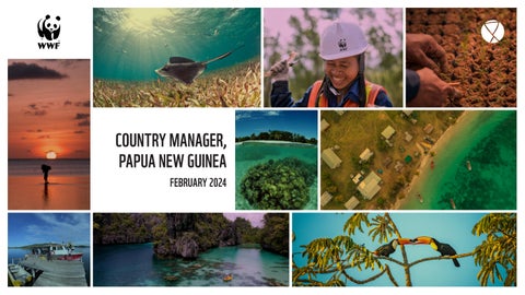 "WWF Pacific – Country Manager, Papua New Guinea" publication cover image