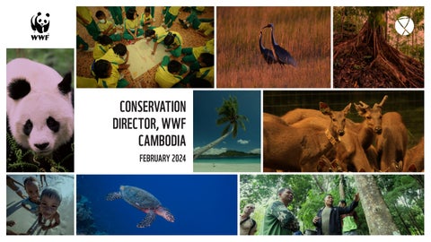 "WWF - Conservation Director, Cambodia" publication cover image