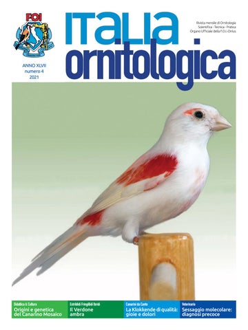Cover of "Italia Ornitologica - numero 4 2021"