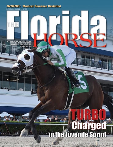 Cover of "The Florida Horse - December 2022"