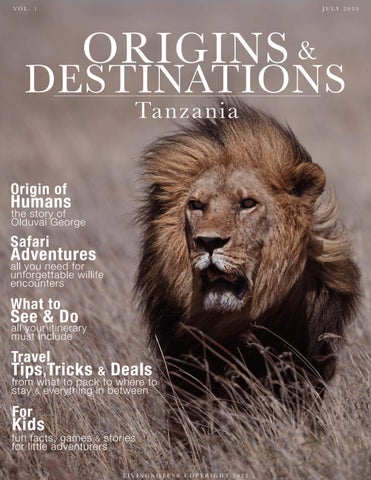 "Origins & Destinations | Travel to Tanzania" publication cover image