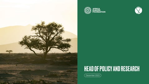 "Africa-Europe Foundation – Head of Policy and Research" publication cover image