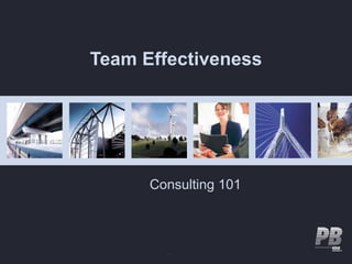 Team Effectiveness




      Consulting 101
 