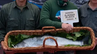 El 'campanu' de Asturias de 2022, un salmón de 6,730 kilos y 84 centímetros.