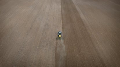 Un agricultor en un tractor realiza la siembra de cereal en una finca en Murcia.
