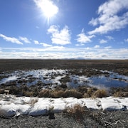 Un paysage de l'Alaska de terre inondée avec des plantes. Selon les scientifiques, l'Alaska s'est réchauffé deux fois plus vite que la moyenne mondiale.