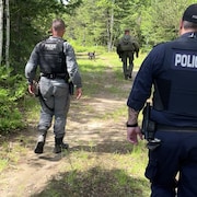 Trois policiers qui marchent dans les bois accompagnés d'un chien.