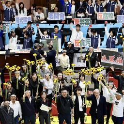 Abgeordnete der taiwanesischen Partei DPP protestieren mit Sonnenblumen im Parlament in Taipeh gegen ein von der Opposition geplantes Gesetzespaket