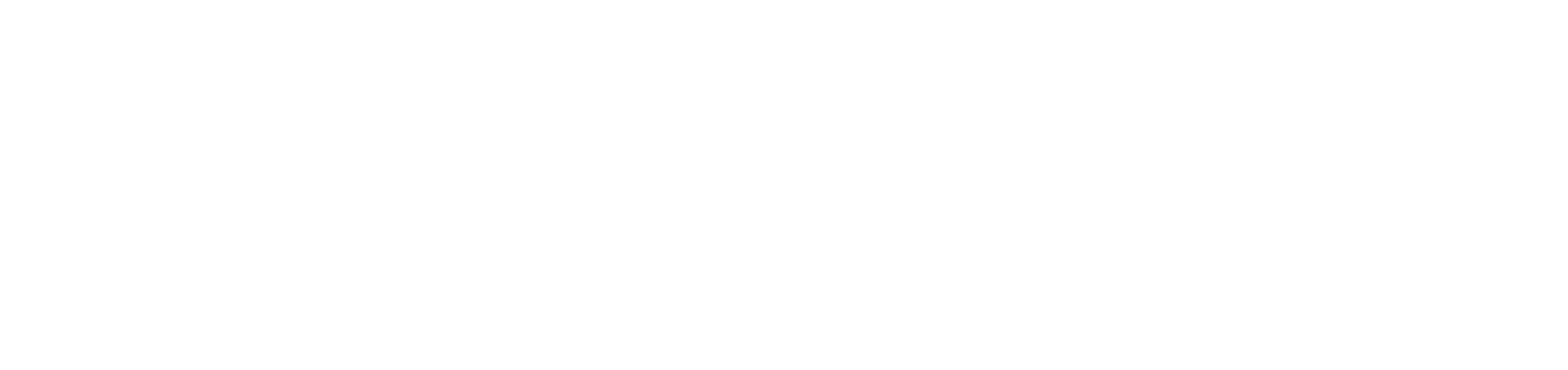 logo del programa L'eclipsi