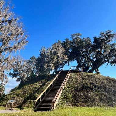 The park is home to six mounds, which served as burial mounds or temple/platform mounds that were used by the Santa Rosa-Swift Creek culture in pre-Columbian years.