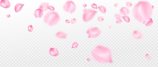 Free vector realistic sakura flower petals background
