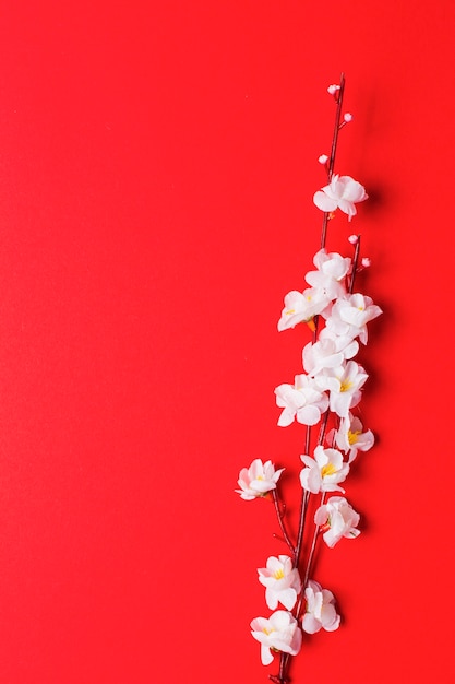Free photo cherry blossom branch on red
