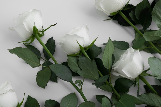 Free photo close up on white roses in vase