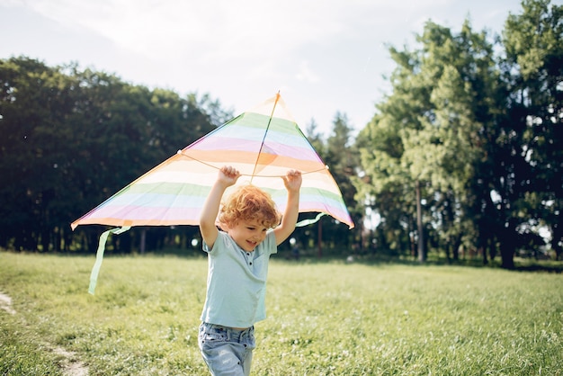 Cute little child in a summer field with a Kite
