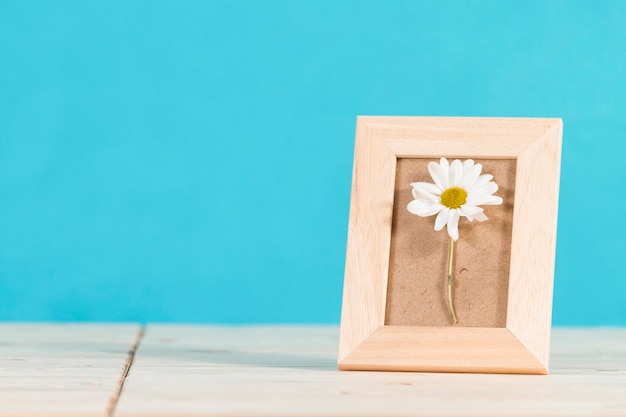 Free photo fantastic frame with a decorative daisy