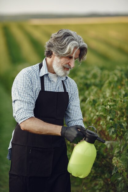 Фермер опрыскивает овощи в саду гербицидами. Мужчина в черном фартуке.