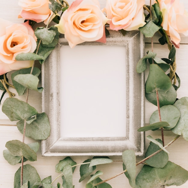 Free photo frame and floral ornaments