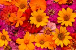 Free photo gorgeous arrangement of flowers wallpaper