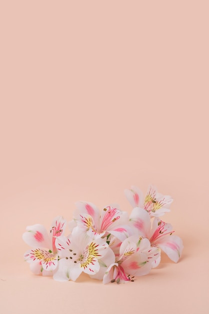 Free photo lovely flowers concept with elegant style