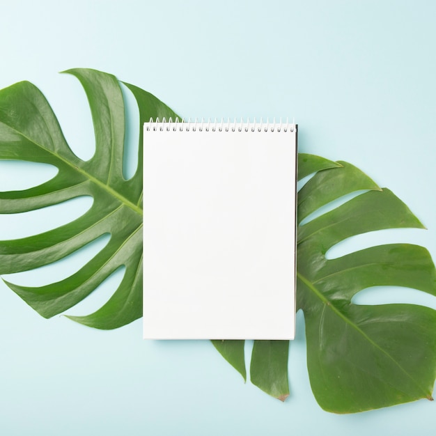 Spiral notepad over the green monstera leaves on blue background
