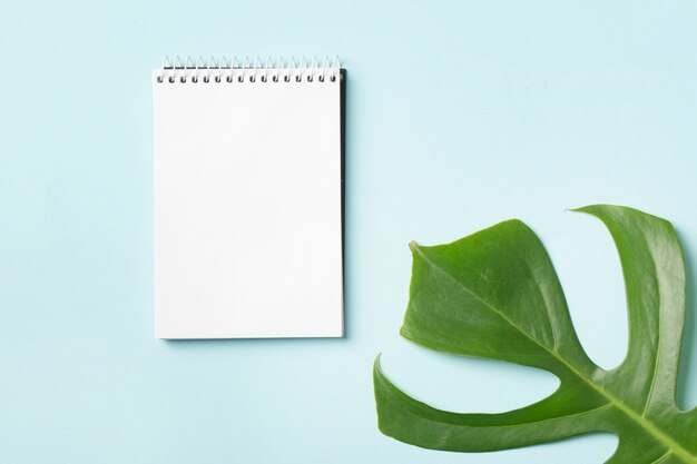 Spiral notepad and green monstera leaf on blue background