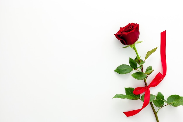 バレンタイン・デー。リボン付きの赤いバラ、