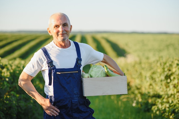 Фермер с деревянным ящиком овощей в поле