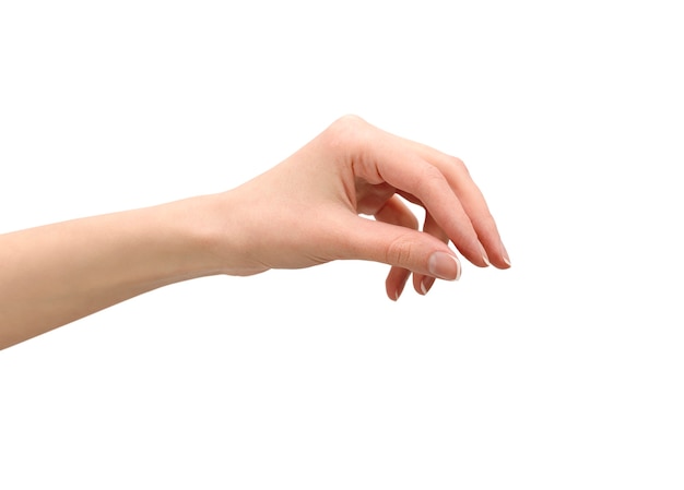 Photo female hand holds something. isolated white wall