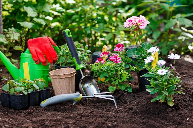 Садовые инструменты и растения на фоне почвы. Концепция весенних садовых работ.