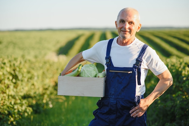 Человек с деревянным ящиком овощей в поле