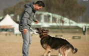 Dog trainer Kang faces legal scrutiny over euthanasia of retired police dog 