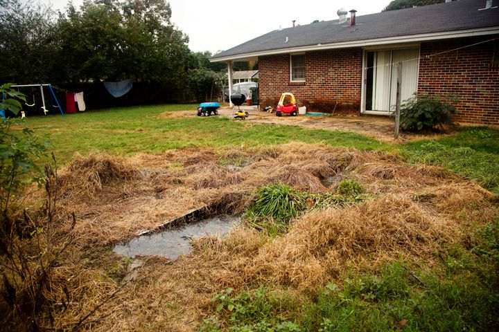A house with a failing septic system, located on the border of Lowndes County and Montgomery County. Raw waste bubbles up from the broken tank, about a foot under the earth.