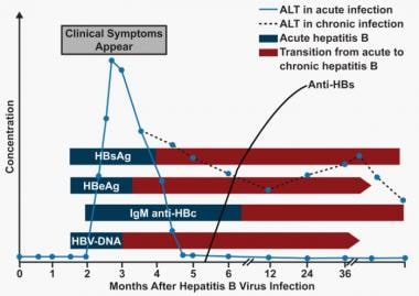 Hepatitis B. Serologic course of hepatitis B virus