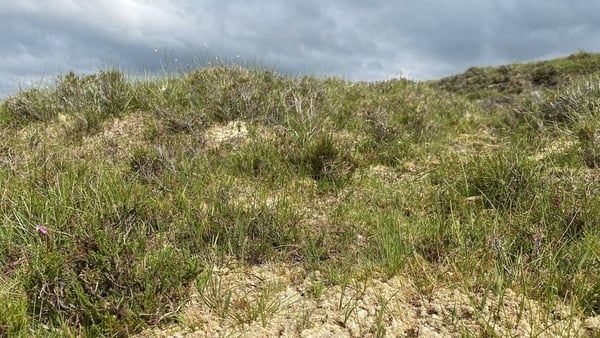 The Wild Atlantic Nature project is focused on 35 blanket bog project sites in Donegal, Leitrim, Sligo, Mayo and Galway