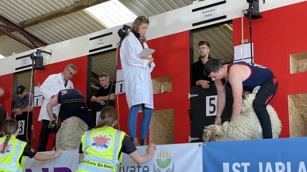 Competitors from New Zealand, Australia, France, Scotland, Wales and further afield arrived to take part in the largest dedicated sheep event in Ireland in 2024