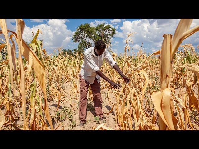 El Niño Crisis in Southern Africa: Solutions & Action