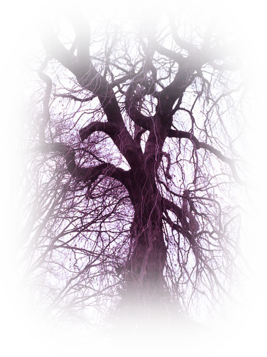 tree-385805_640 (525x700, 973Kb)