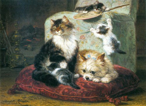 A Cat Kittens and a West Highland Terrier on a Red Cushion (500x361, 181Kb)