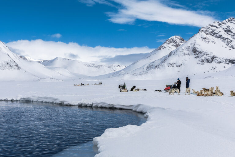 Indigenous people with sled dogs in Greenland.