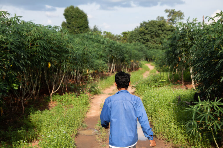 Indigenous farmer in Cambodia
