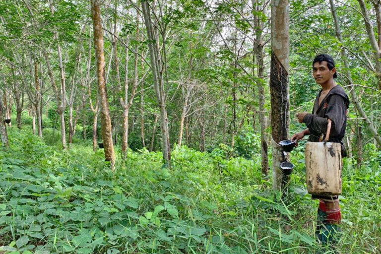 A worker at a rubber plantation at PT Alam Lestari Nusantara. Image by Rubber tapping workers at PL ALN.