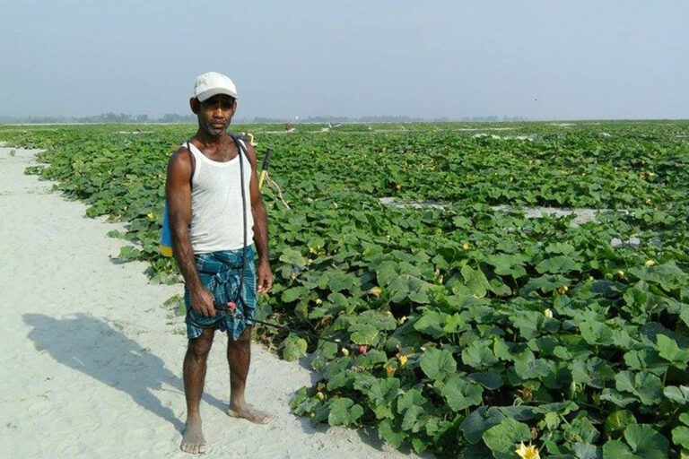 A squash farmer next to his crops.