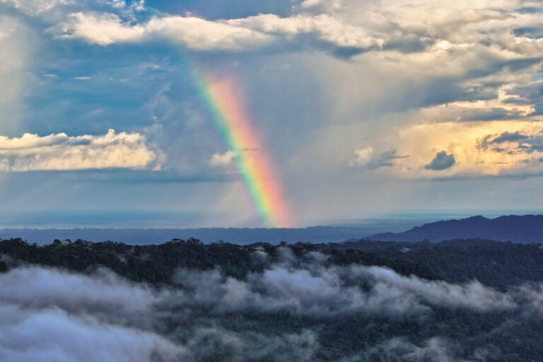 Rainbow over the Amazon rainforest. Photo by Rhett Ayers Butler