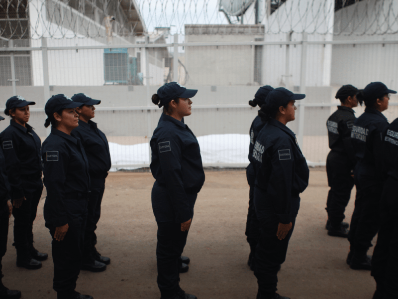 DataInSights: Why Are There More Women in Mexican Prisons for Organized Crime?