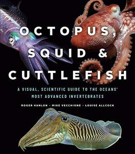 Octopus, Squid, and Cuttlefish : A Visual, Scientific Guide to the Oceans' Most Advanced Invertebrates