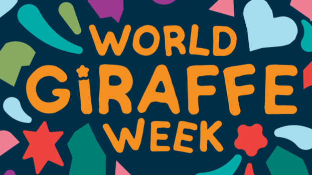 World Giraffe Week