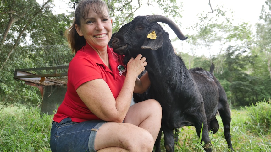 Mackay goat producer Kylie Leahy squatting alongside a goat in a paddock on her property
