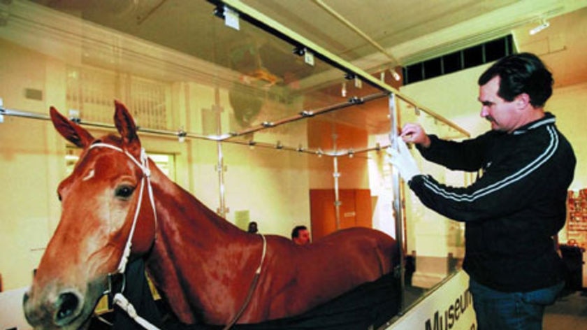 A Professor at Monash University has cast doubts on claims Phar lap was killed by arsenic poisoning.